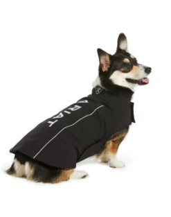 Team Softshell Dog Jacket Color: Black