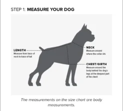 Pup Puffer Jacket Color: Serape -Rodeo Western Sales image 8985891d 6dd4 473b b843 a754bff8b925