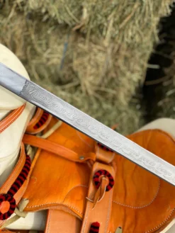 Montura Charra Chumeteada Cuadrada Con Cantina