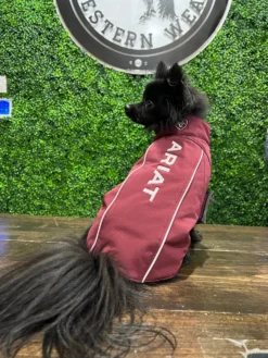 Team Softshell Dog Jacket Color: Windsor Wine